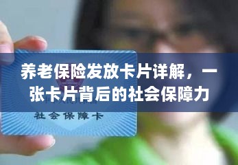 养老保险发放卡片全面解析，社会保障力量的见证-图1