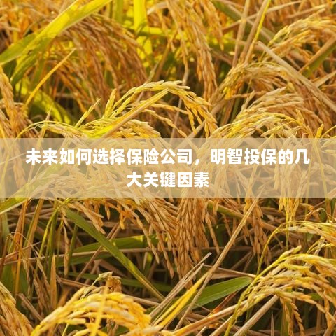 未来如何选择保险公司，明智投保的关键因素解析-图1
