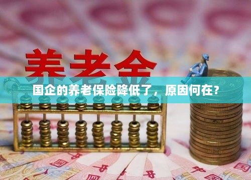 国企养老保险降低的原因探究-图1
