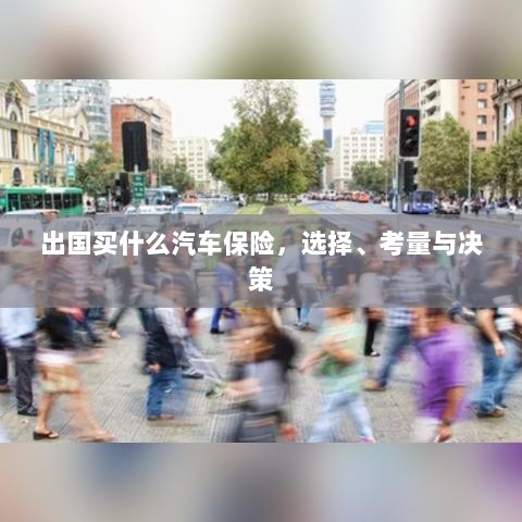 出国购车保险指南，选择、考量与决策攻略-图1