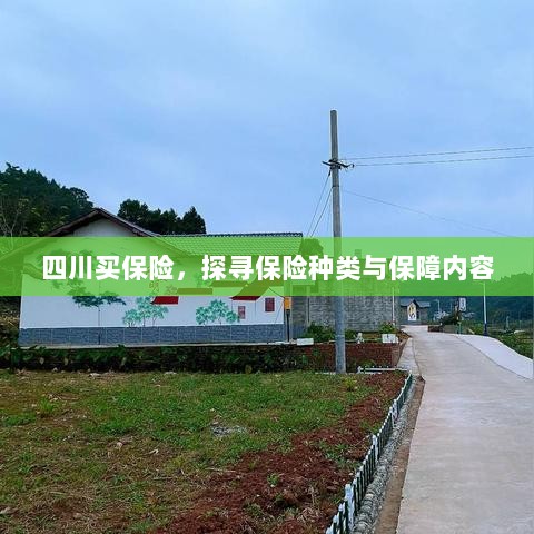 四川保险探秘，种类与保障内容全解析-图1