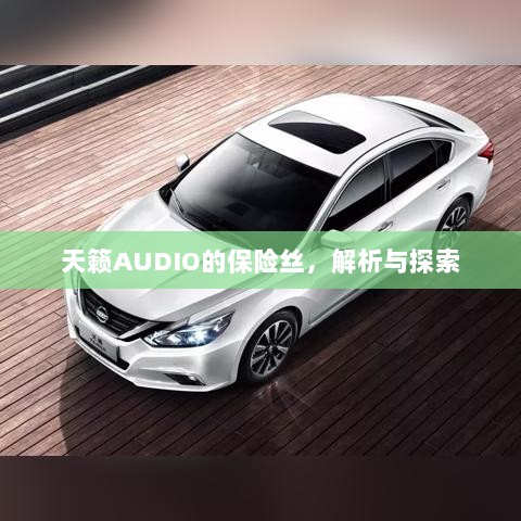 天籁AUDIO保险丝解析与探索-图1
