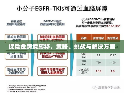 保险金跨境转移,策略、挑战及解决方案探讨-图1 保险金跨境转移,策略、挑战及解决方案探讨-图1