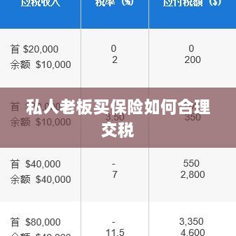 私人老板如何合理购买保险并交税指南-图1