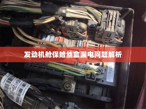 发动机舱保险丝盒漏电问题深度解析-图1