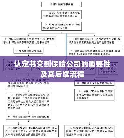 认定书对保险公司的重要性及后续流程详解-图1 认定书对保险公司的重要性及后续流程详解-图1