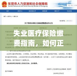 失业医疗保险缴费详解,如何正确缴纳费用指南-图1 失业医疗保险缴费详解,如何正确缴纳费用指南-图1