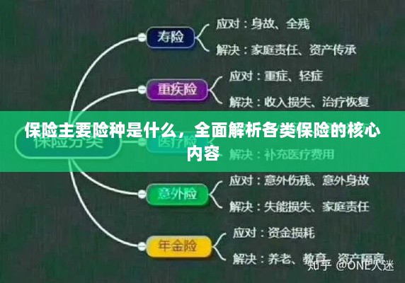 全面解析,保险主要险种及其核心内容-图1 全面解析,保险主要险种及其核心内容-图1