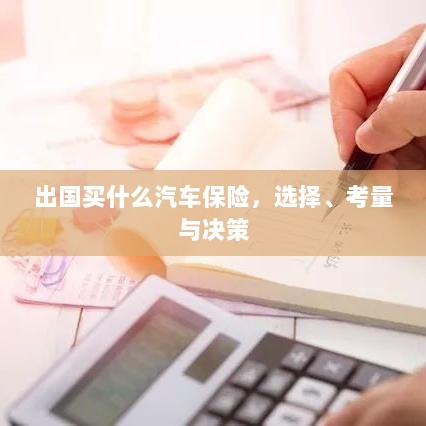 出国购车保险指南,选择、考量与决策攻略-图1 出国购车保险指南,选择、考量与决策攻略-图1