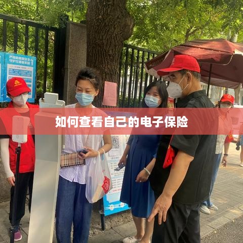 如何查看个人电子保险保单详情-图1 如何查看个人电子保险保单详情-图1