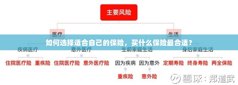 如何选择适合自己的保险，最佳保险购买指南！-图1