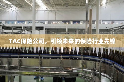TAC保险公司，引领保险行业未来先锋-图1