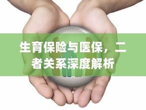 生育保险与医保的关系深度探讨与解析-图1