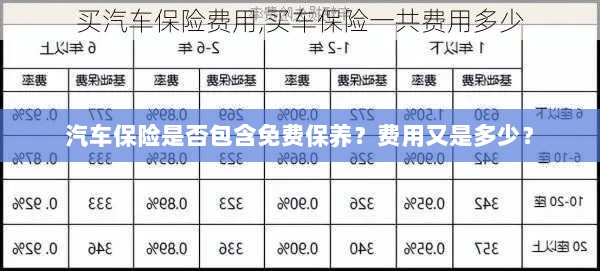 汽车保险中的免费保养与费用详解-图1