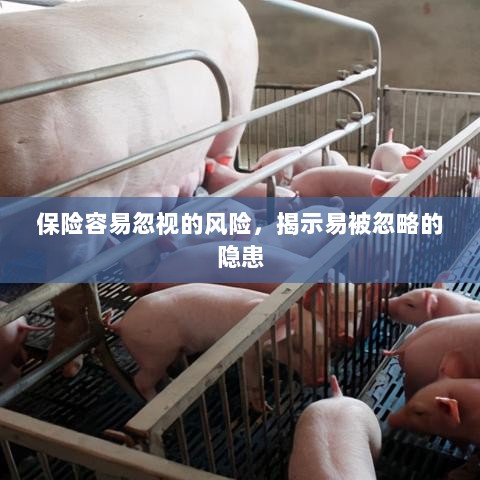 易被忽视的风险隐患揭秘,保险领域隐藏的潜在风险-图1 易被忽视的风险隐患揭秘,保险领域隐藏的潜在风险-图1