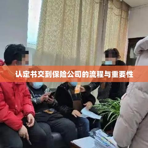 认定书交到保险公司的流程及其重要性概述-图1 认定书交到保险公司的流程及其重要性概述-图1
