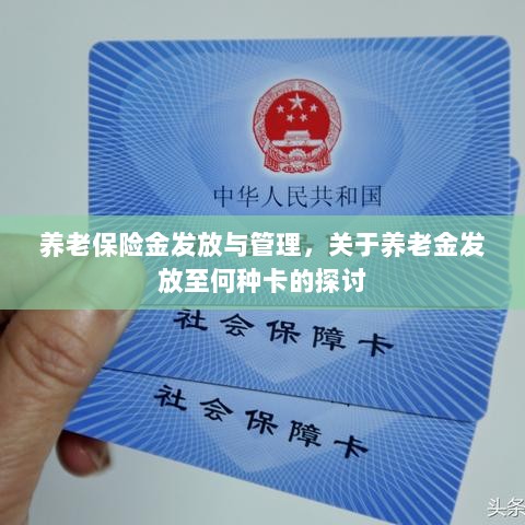 养老保险金发放与管理，关于养老金发放至哪种卡的深度探讨-图1