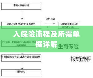 保险投保流程与所需单据全面解析-图1