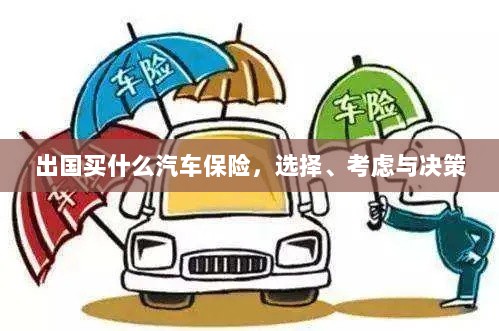 出国购车保险指南，选择、考虑与决策要素-图1