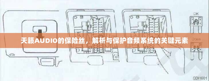 天籁AUDIO保险丝，解析与音频系统保护的关键要素-图1