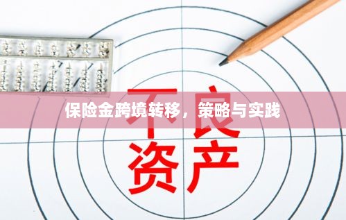 保险金跨境转移的策略与实践探讨-图1