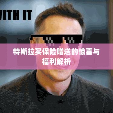 特斯拉保险赠品福利大解析，惊喜与优惠一网打尽！-图1