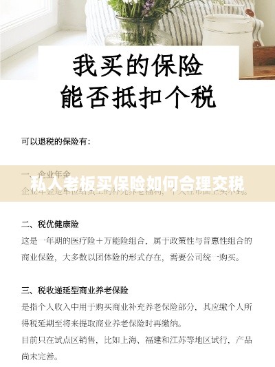 私人老板如何合理购买保险并交税指南-图1