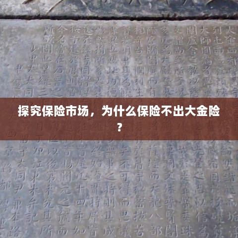 探究保险市场，为何缺乏大额保险金险种？-图1