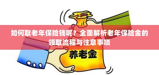 全面解析，老年保险金的领取流程与注意事项指南——如何顺利领取老年保险金？-图1