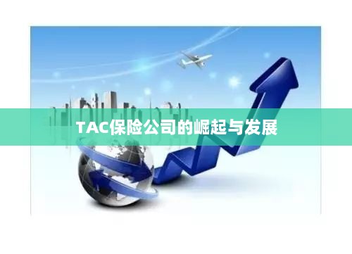 TAC保险公司的崛起与蓬勃发展之路-图1