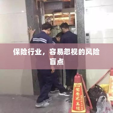 保险行业中的风险盲点揭秘-图1