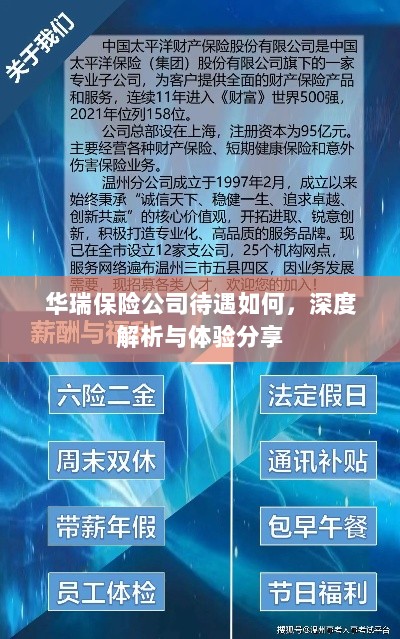 华瑞保险公司待遇深度解析与体验分享-图1