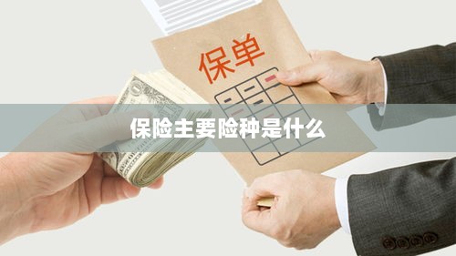 保险主要险种简介与概述-图1