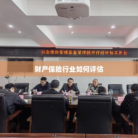 财产保险行业评估方法与策略解析-图1 财产保险行业评估方法与策略解析-图1