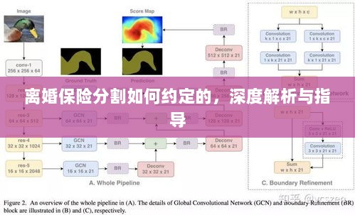 离婚保险分割深度解析与指导，约定要点及操作流程-图1