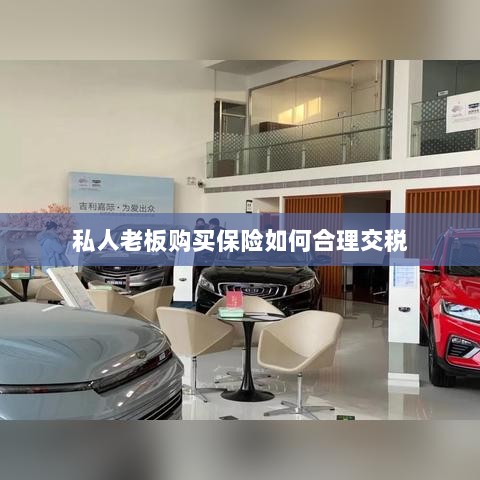 私人老板购买保险的合理税务规划之道-图1 私人老板购买保险的合理税务规划之道-图1