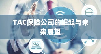 TAC保险公司的崛起及未来展望-图1 TAC保险公司的崛起及未来展望-图1