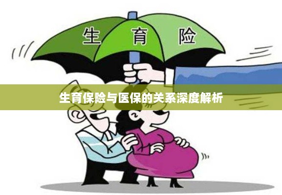 生育保险与医保关系的深度探讨-图1