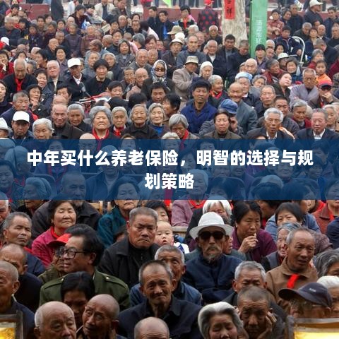 中年明智之选,养老保险的规划与策略-图1 中年明智之选,养老保险的规划与策略-图1