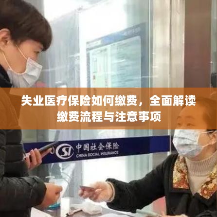 全面解读失业医疗保险缴费流程与注意事项-图1