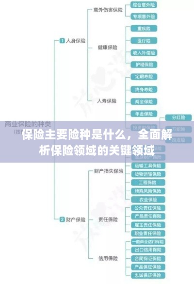 全面解析保险领域关键领域,主要险种介绍与概述-图1 全面解析保险领域关键领域,主要险种介绍与概述-图1