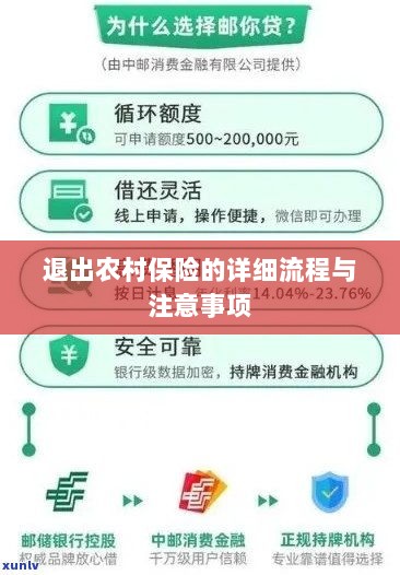 退出农村保险的详细流程与注意事项全解析-图1