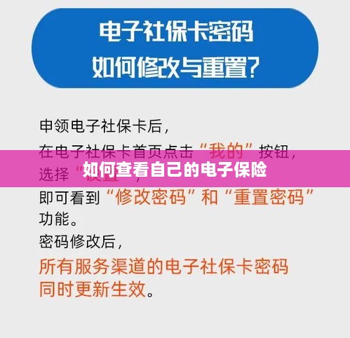 如何查看个人电子保险保单详情-图1 如何查看个人电子保险保单详情-图1