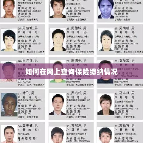 网上查询保险缴纳情况攻略-图1 网上查询保险缴纳情况攻略-图1