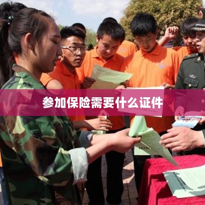 参加保险所需证件概览-图1
