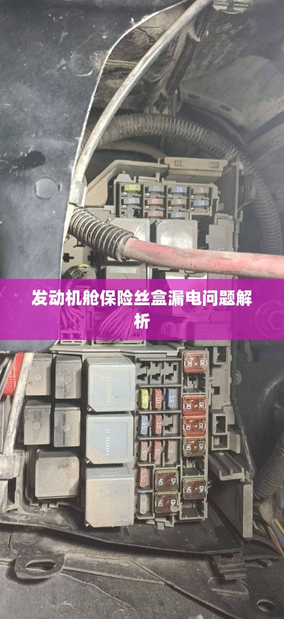 发动机舱保险丝盒漏电问题深度解析-图1 发动机舱保险丝盒漏电问题深度解析-图1