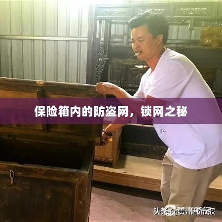保险箱内的锁网之秘，防盗网的安全解密-图1