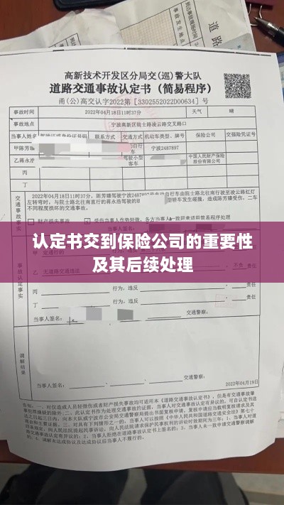 认定书交到保险公司的重要性及后续处理流程详解-图1 认定书交到保险公司的重要性及后续处理流程详解-图1