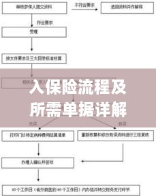 保险投保流程与所需单据全面解析-图1 保险投保流程与所需单据全面解析-图1