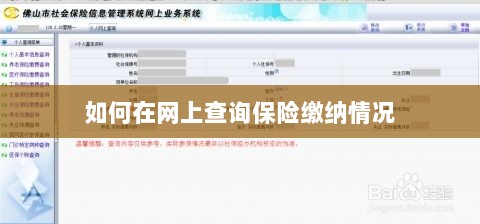 网上查询保险缴纳情况攻略-图1 网上查询保险缴纳情况攻略-图1